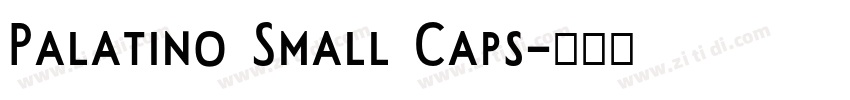 Palatino Small Caps字体转换 Palatino Small Caps字体转换